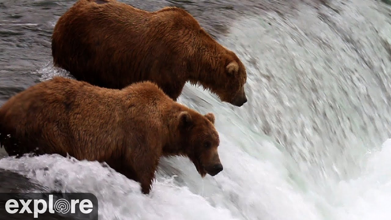 Brooks Falls – Katmai National Park, Alaska 2023 powered by …