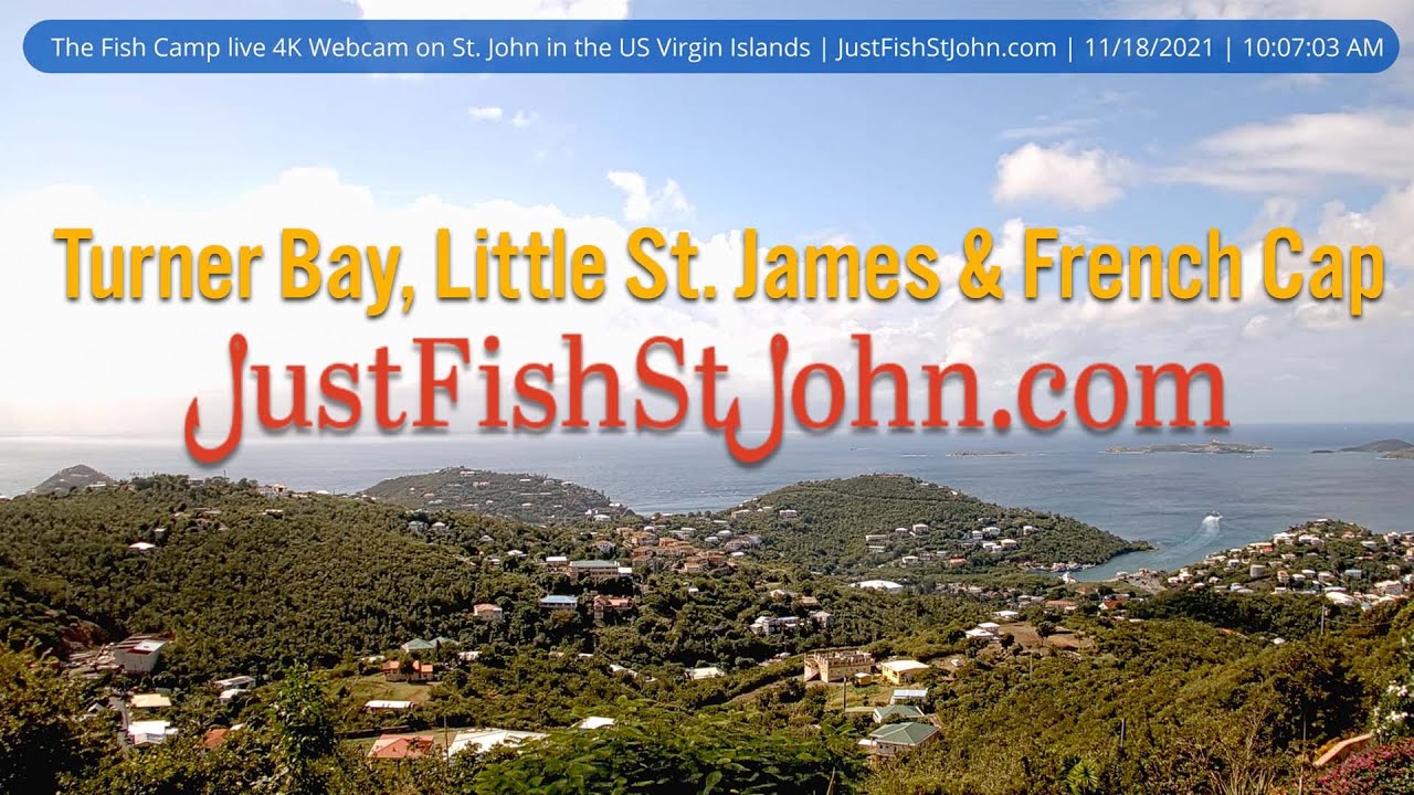 Fish Camp Webcam Live in 4K on St. John by JustFishStJohn.co…