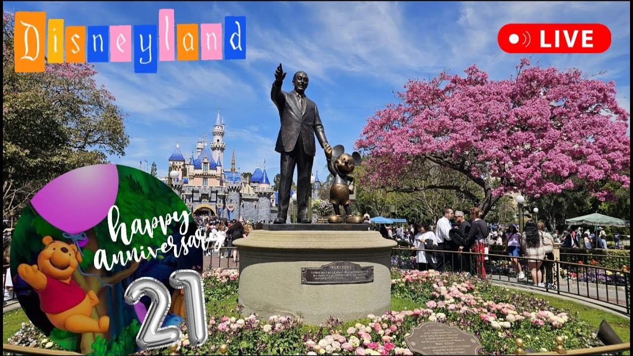 DISNEY Rides Shows Fun Happy Anniverary Whinnie The Pooh att…