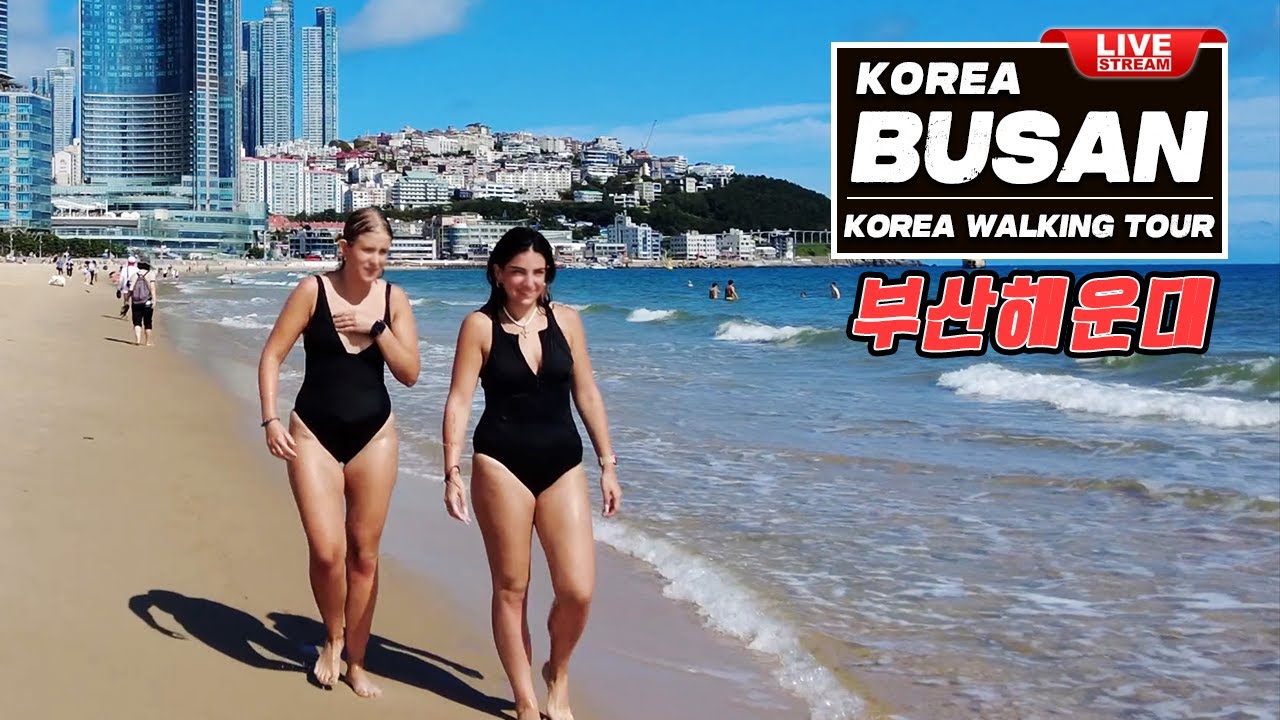 Live Busan Korea Travel | Fantastic Korea tour Live, Beach n…