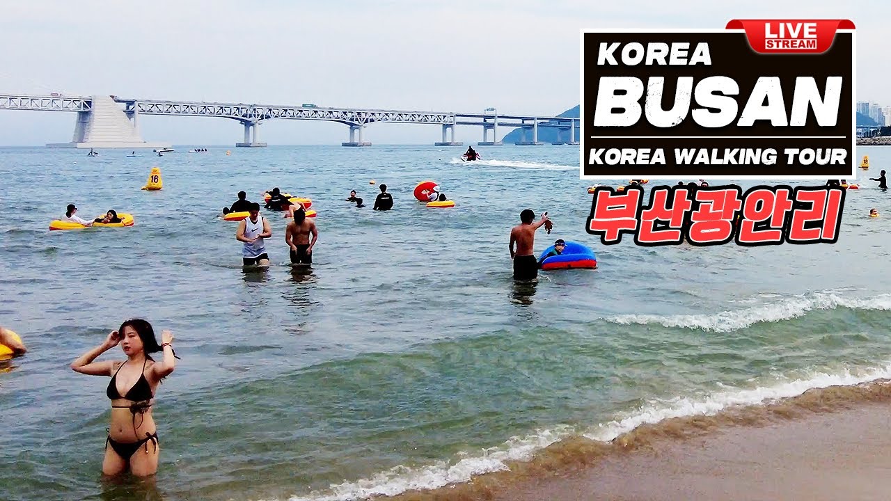 Live Korea Trip | Korea Busan Travel | Seoul Nightlife walk …