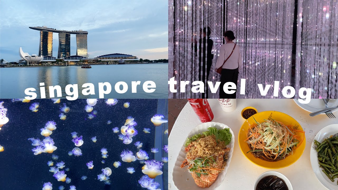 Singapore 2022 Travel Vlog (Kid friendly places to Visit, Co…