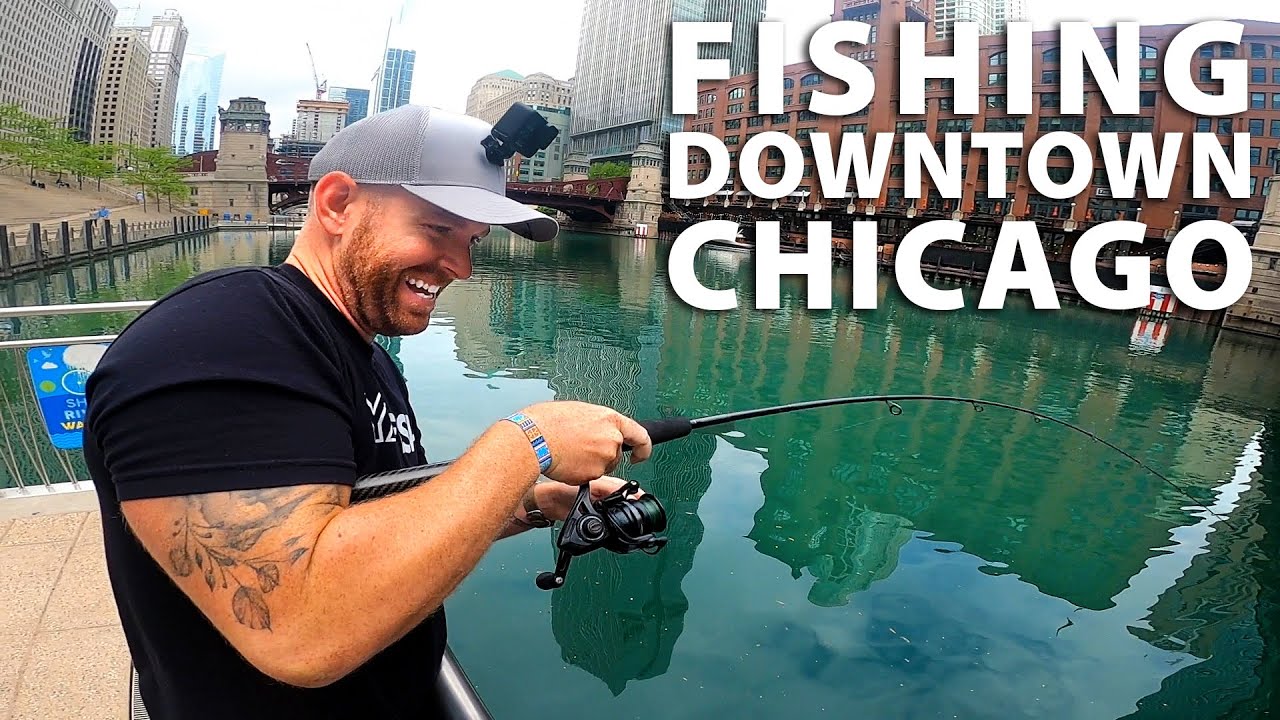 Catching GIANT FISH in Downtown Chicago Riverwalk | Field Tr…