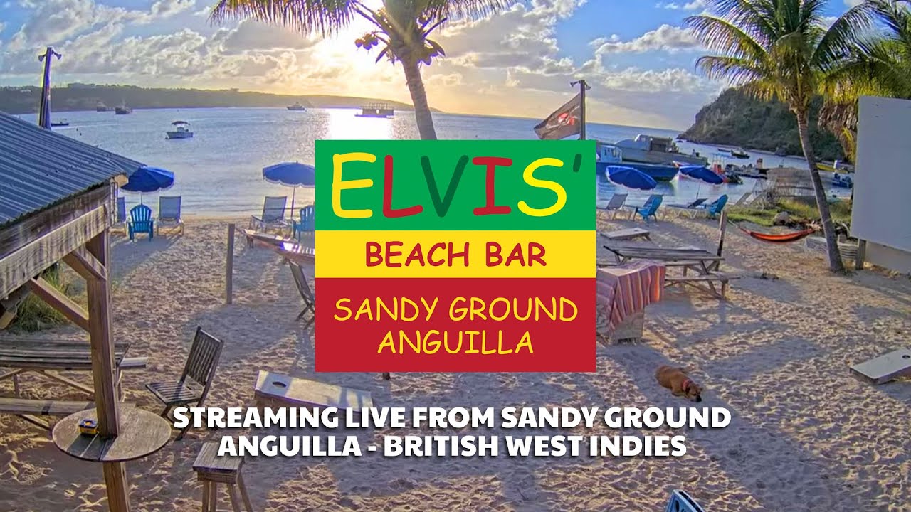 Elvis' Beach Bar LIVE HD Webcam from Sandy Ground, Angui…