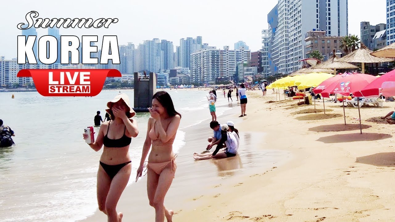 Korea Tour Live | Visit Korea Busan | Beautiful Haeundae nig…