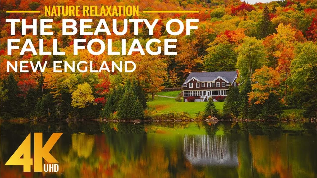 Top Scenic Fall Foliage Spots in New England, USA – 4K UHD A…